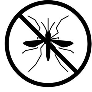 Drone Calibration Training at the IPM Spring Training